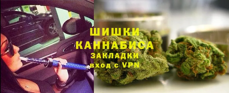 где купить   мега маркетплейс  Бошки марихуана OG Kush  Западная Двина 